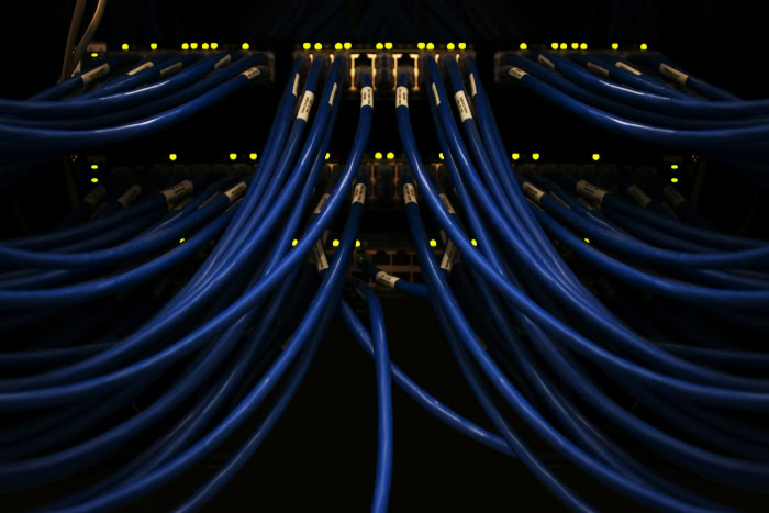 Blue ethernet cables plugged into network switch