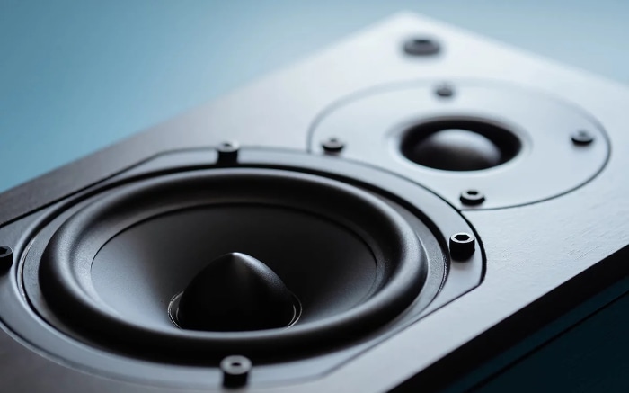 Close up of a high fidelity bookshelf speaker driver